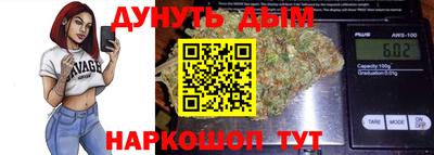 молекула духа Будённовск