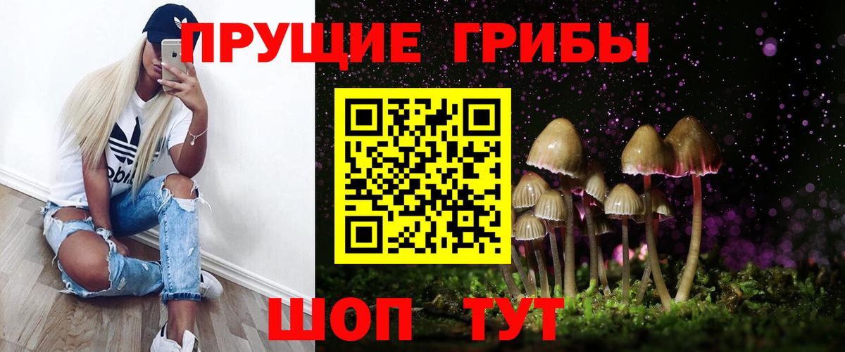Псилоцибиновые грибы Psilocybine cubensis  Галлюциногенные грибы Psilocybine cubensis  Таганрог  Вход с VPN 
